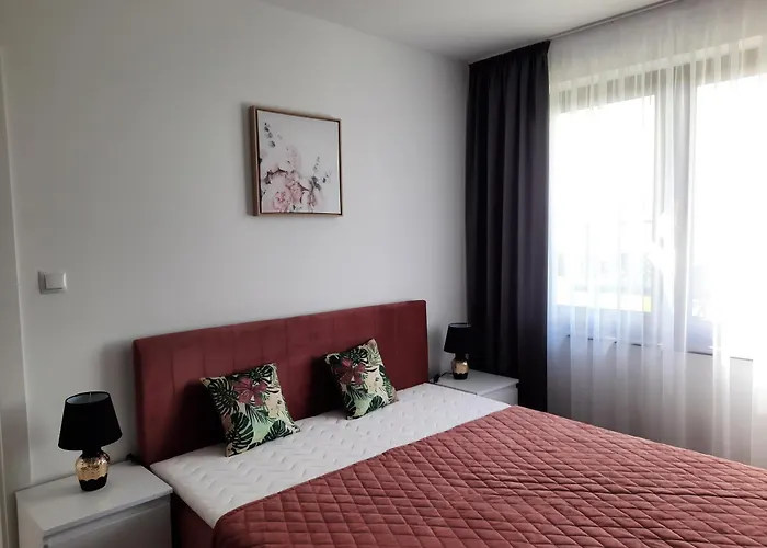 Szafir Dziwnowek-wrzosowo * Wrzosowo (Kamien)